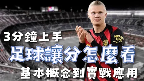 大乐透期号专家质合分析推荐：奥兰多城vs迈阿密国际赛